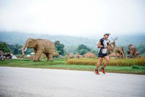 BIB: 
                            <button type="button" onclick="openModal(22401392)" class="btn btn-primary btn-sm float-right btn-popup" data-toggle="modal" data-target=".modal-high-quality">
                        <i class="fas fa-shopping-cart"></i> Add to Cart
                    </button>
                                            <button type="button" onclick="isThisMe(22401392, true)" class="btn btn-success btn-sm float-right btn-popup btn-isme hidden" data-toggle="tooltip" data-placement="bottom" title="นี่คือรูปของคุณใช่ไหม คลิกที่นี่เพื่อเอาเข้าอัลบั้ม">
                        <i class="fas fa-plus"></i> Add to album
                    </button>
                    <button type="button" onclick="isThisMe(22401392, false)" class="btn btn-warning btn-sm float-right btn-popup btn-isnotme hidden">
                        <i class="fas fa-ban"></i> Remove from album
                    </button>